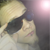 :iconhaniskogen: