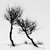 :iconhanna-t: