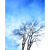 :iconhannah-m: