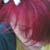 :iconhannahcheriton: