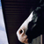 :iconHannahE: