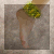 :iconhannahhmn: