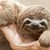 :iconhannahhobnob: