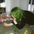 Hannahisntdead :iconhannahisntdead: