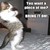 :iconhannahwolfrhodes: