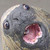 :iconhanni92: