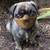 :iconhannibal003: