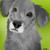 :iconhannybirch: