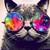 :iconhanon131: