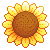 :iconhanskd: