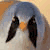 Hansve :iconhansve: