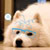 :iconhanzip: