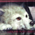 :iconhappiebunny: