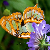 :iconhappy-and-free: