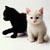 :iconhappy-cats: