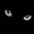 :iconhappy-kitten: