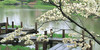 :iconhappy-little-place: