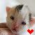 :iconhappy-sleepy-days: