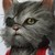 :iconhappy-valley: