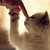 :iconhappybecbec: