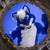 HappyBlueFox :iconhappybluefox: