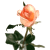 :iconHappyBoy012: