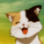 :iconhappycalicocatplz: