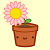 :iconhappyflowerpotplz: