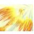 :iconhappygoluckydied: