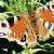:iconhappyhol2001: