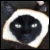 :iconharajuku21: