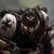 :iconharbringerartist:
