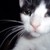 :iconhardboy24rd: