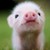 :iconhardly-noticeable: