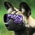 :iconhardyboyzrus:
