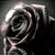 :iconhareth: