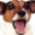 :iconhargurus: