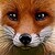 :iconharhon: