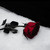 :iconharkedeviction: