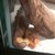 :iconharland-roark: