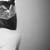 :iconharley-queen: