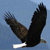 :iconHarleyRider2: