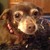 :iconharliebar2: