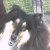 :iconharliquinmoon: