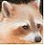 :iconharmless-pi:
