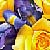 :iconharmonic-shadow: