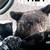 :iconharmoniouslyoffbeat: