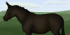 :iconharpg-dmr: