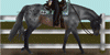 :iconharpg-stock-assn: