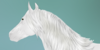 :iconharpgcamarillowhites: